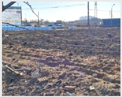  2025Ÿ��521 ��� ���ֽ� ������ ����õ�� 280      ����(��1)���