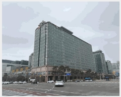  2025Ÿ��941  ���ǽ��ڰ��