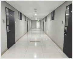  2025Ÿ��941  ���ǽ��ڰ��