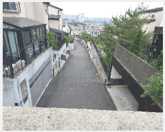  2025Ÿ��2213  ���������