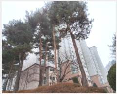  2025Ÿ60486  ֽ å 183, 1506 8803ȣ (е,å⸶ֱϻϵþ)    Ʈ