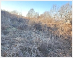  2025Ÿ60493  ֽ ź  708-9      ()