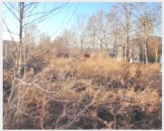  2025Ÿ60493  ֽ ź  708-9      ()