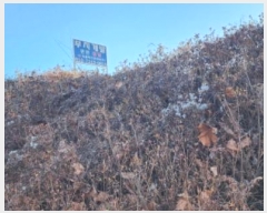  2025Ÿ60493  ֽ ź  708-9      ()