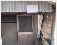  2025Ÿ61007  ֽ  ȭշ 166-53      ð