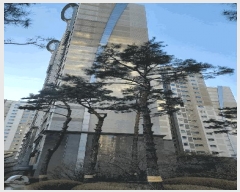  2025Ÿ61236   ϻ굿 Ƽ4 79, 314 141401ȣ (Ļ絿,Ƽ3)   Ʈ