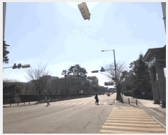  2025Ÿ62312   ϻ꼭 ̵ 1535 ũƼϻĹи4 406 2202ȣ   Ʈ