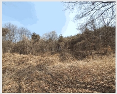  2025Ÿ��62450 ��� ���ֽ� ������ ��縮 ��25-2      ����(�Ӿ�)���