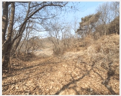  2025Ÿ��62450 ��� ���ֽ� ������ ��縮 ��25-2      ����(�Ӿ�)���