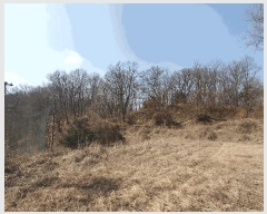  2025Ÿ��62450 ��� ���ֽ� ������ ��縮 ��25-2      ����(�Ӿ�)���