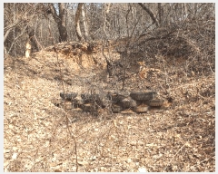  2025Ÿ��62450 ��� ���ֽ� ������ ��縮 ��25-2      ����(�Ӿ�)���