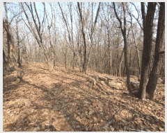  2025Ÿ��62450 ��� ���ֽ� ������ ��縮 ��25-2      ����(�Ӿ�)���