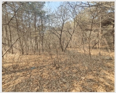  2025Ÿ��62450 ��� ���ֽ� ������ ��縮 ��25-2      ����(�Ӿ�)���