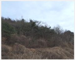  2025Ÿ��62450 ��� ���ֽ� ������ ��縮 ��25-2      ����(�Ӿ�)���