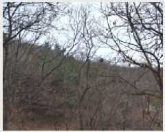  2025Ÿ��62450 ��� ���ֽ� ������ ��縮 ��25-2      ����(�Ӿ�)���