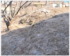  2025Ÿ��62517 ��� ���ֽ� ������ ������ 262-2      ����(����)���