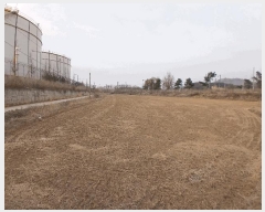  2025Ÿ��62519  �����