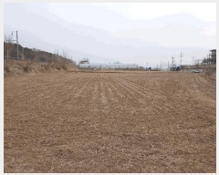  2025Ÿ��62519  �����