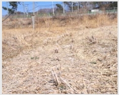  2025Ÿ��62519  �����