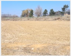  2025Ÿ��62519  �����