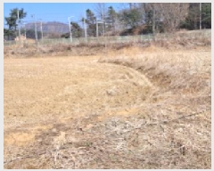  2025Ÿ��62519  �����