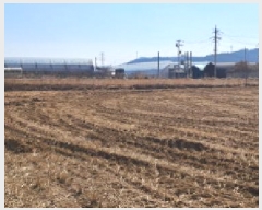  2025Ÿ��62519  �����