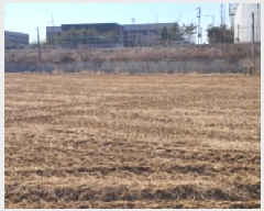  2025Ÿ��62519  �����