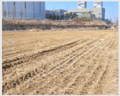  2025Ÿ��62519  �����