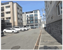  2025Ÿ��62656  �ټ���(����)���