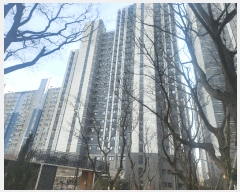  2025Ÿ��62674  ����Ʈ���