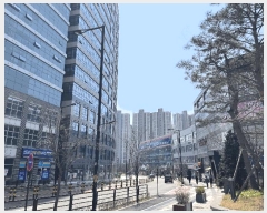  2025Ÿ��62716 ��� ����� ���籸 �⵿�� 475 �𿥾���Ÿ�Ӹ���  9��904ȣ   ���ǽ��ڰ��