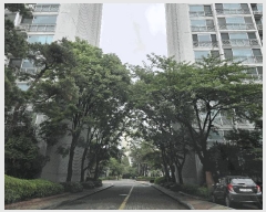  2025Ÿ��63127  ����Ʈ���