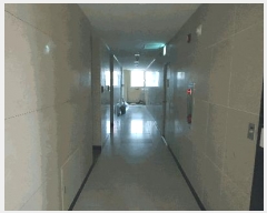  2025Ÿ��63208  ���ǽ��ڰ��