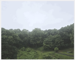  2025Ÿ��63403 ��� ����� �ϻ굿�� ������ 1147-4 û���������� 103�� 2��201ȣ   �ټ���,������