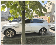  2025Ÿ��64244  �������