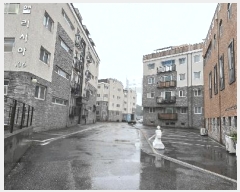  2025Ÿ��64340 ��� ����� �ϻ꼭�� ���̵� 1054 �����þ� 106�� 1��101ȣ   �ټ���,������