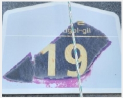  2025Ÿ��64837 ��� ���ֽ� ������ ����� 311-1 �ＺŸ�� 2��201ȣ    �ټ���,������