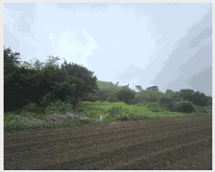  2025Ÿ��2138  �����