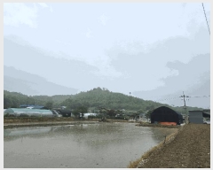  2025Ÿ��2138  �����