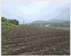  2025Ÿ��2138  �����