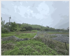  2025Ÿ��2138  �����