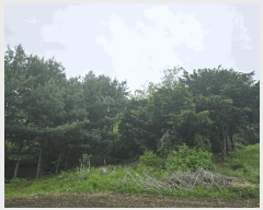  2025Ÿ��2138  �����