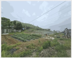  2025Ÿ��2138  �����