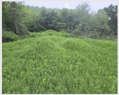  2025Ÿ��2138  �����