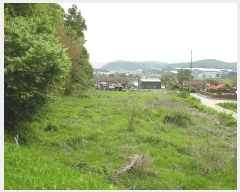  2025Ÿ��2237  �������