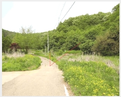  2025Ÿ��2237  �������