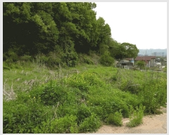  2025Ÿ��2237  �������