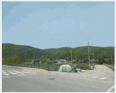  2025Ÿ��2237  �������