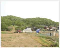  2025Ÿ��2237  �������