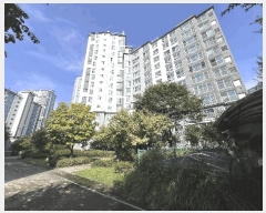  2025Ÿ��5571 ��� ���ֽ� �ߴ絿 1026 �Ѻ�����7���� 715�� 1��103ȣ    ����Ʈ���